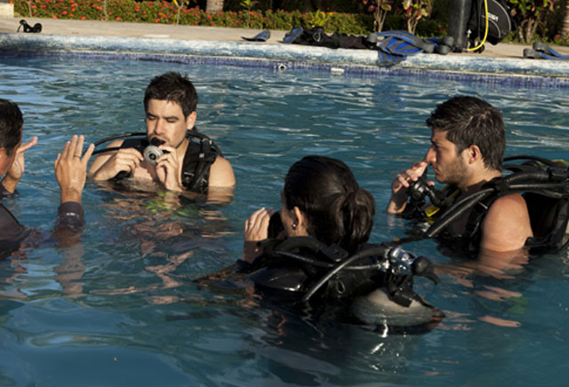  Padi Dive Course  